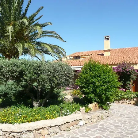 Fiore * San Pantaleo